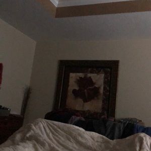 Meet your Posher, Sylvia